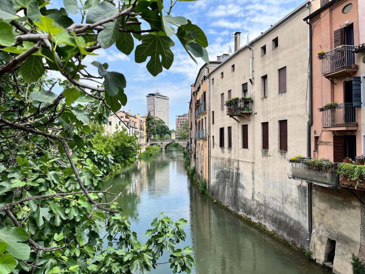 Appartamento Ai Portici Di Via Savonarola Padua Buitenkant foto